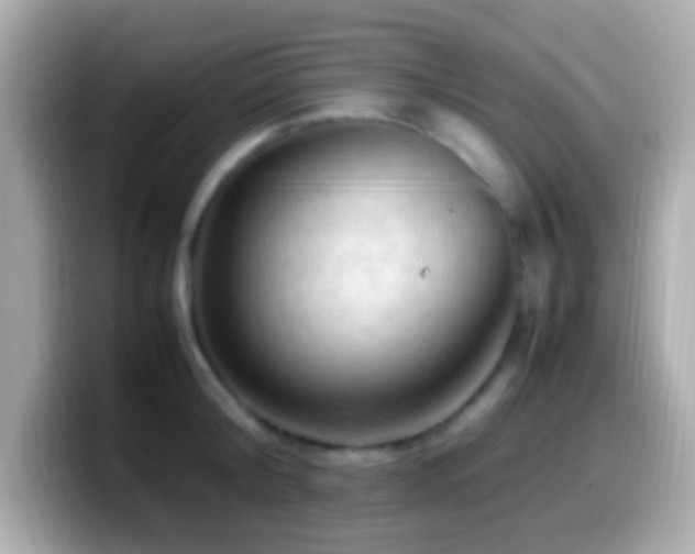 X0000099980804200805231423