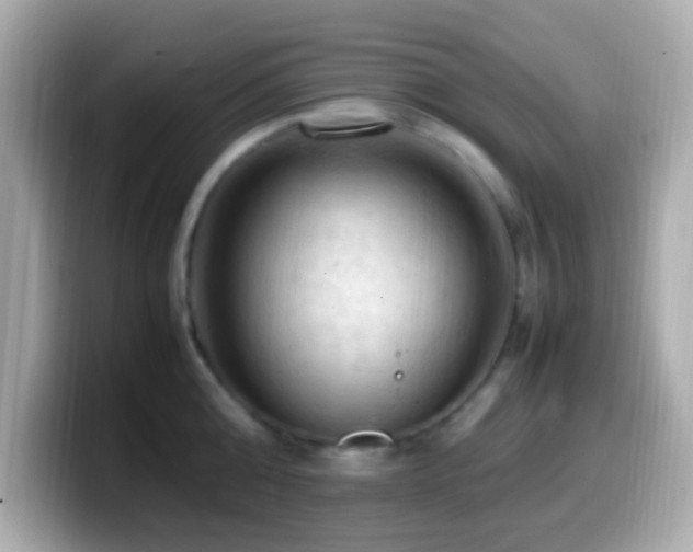 X0000099980808200805231423