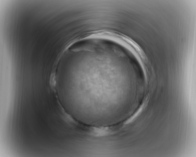 X0000099980809200805231423