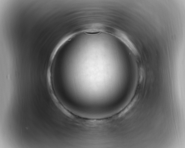 X0000099980812200805231423