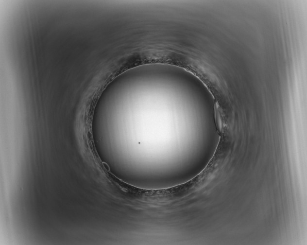 X0000099980817200805231423