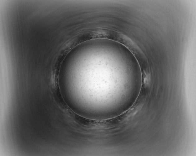 X0000099980819200805231423