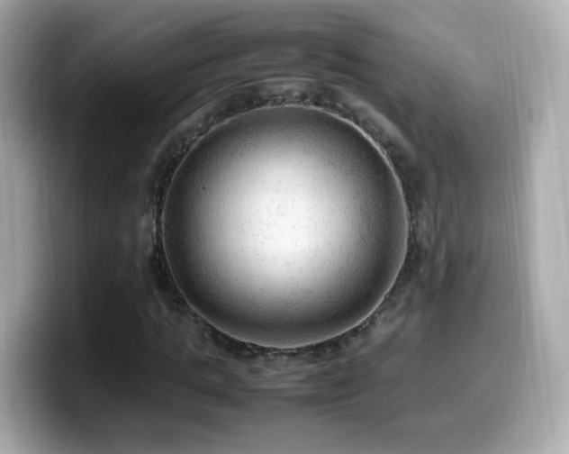 X0000099980821200805231423