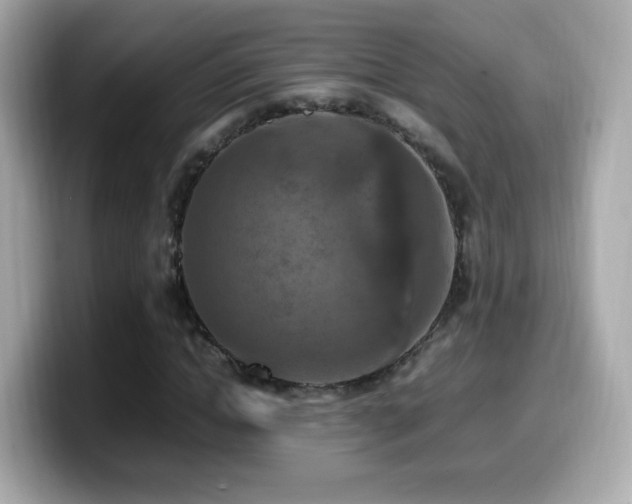 X0000099980822200805231423