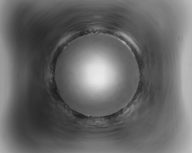 X0000099980823200805231423