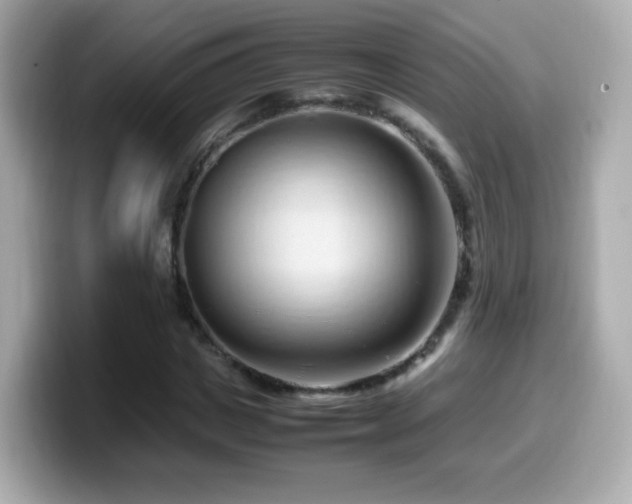 X0000099980825200805231423