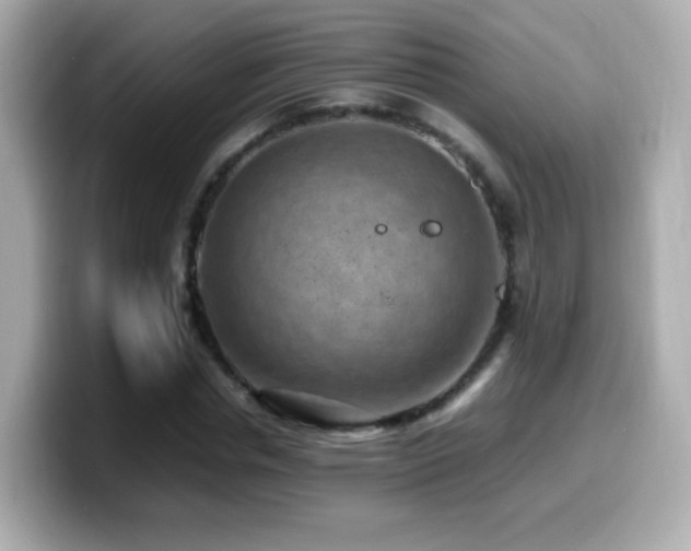 X0000099980826200805231423
