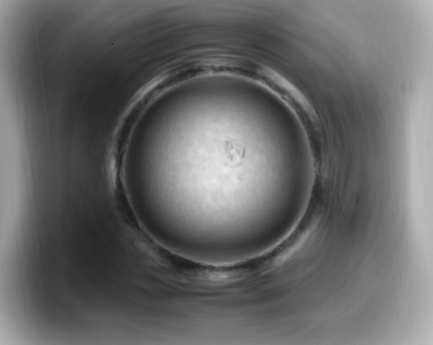 X0000099980829200805231423