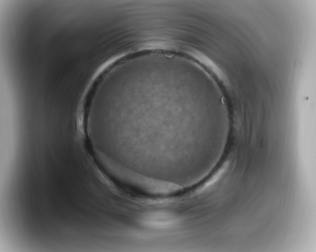 X0000099980830200805231423