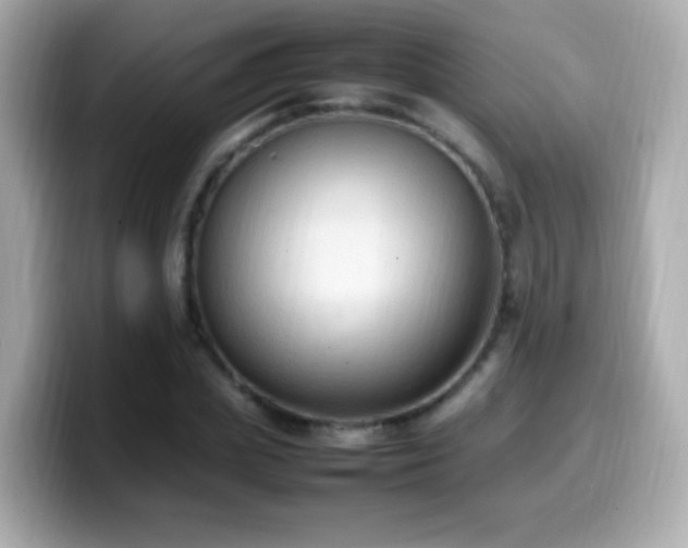 X0000099980831200805231423