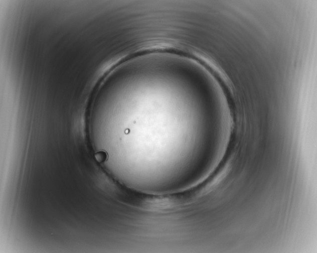 X0000099980834200805231423