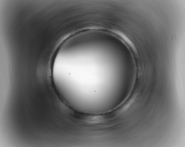 X0000099980837200805231423