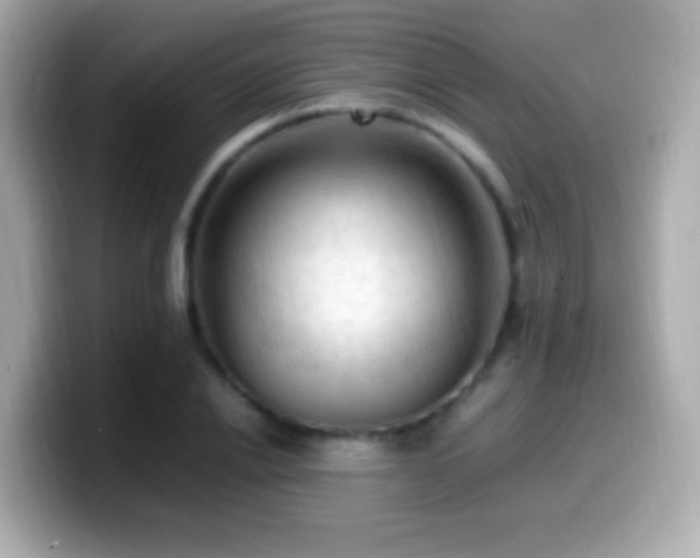 X0000099980838200805231423