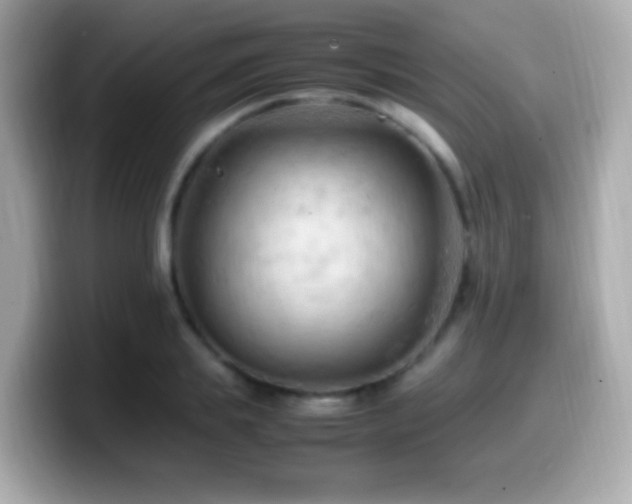 X0000099980839200805231423
