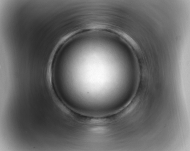 X0000099980840200805231423