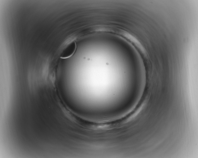 X0000099980841200805231423