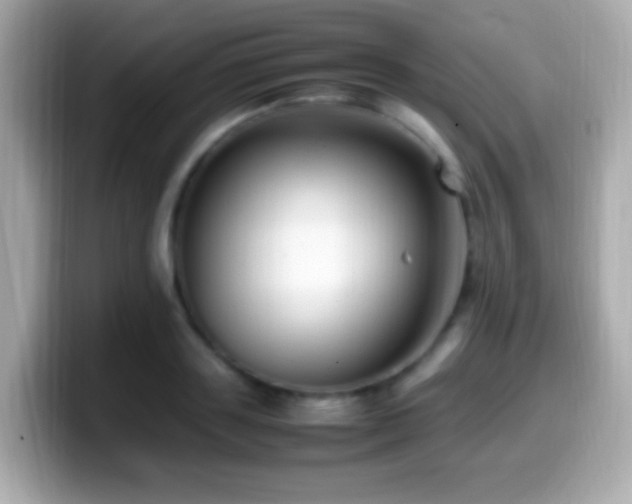 X0000099980843200805231423