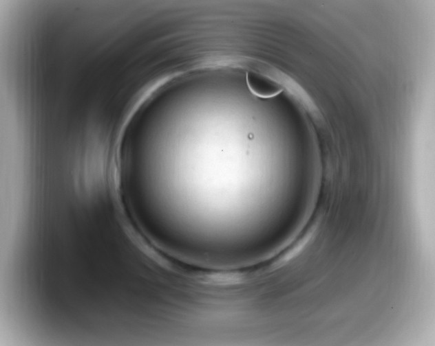 X0000099980844200805231423