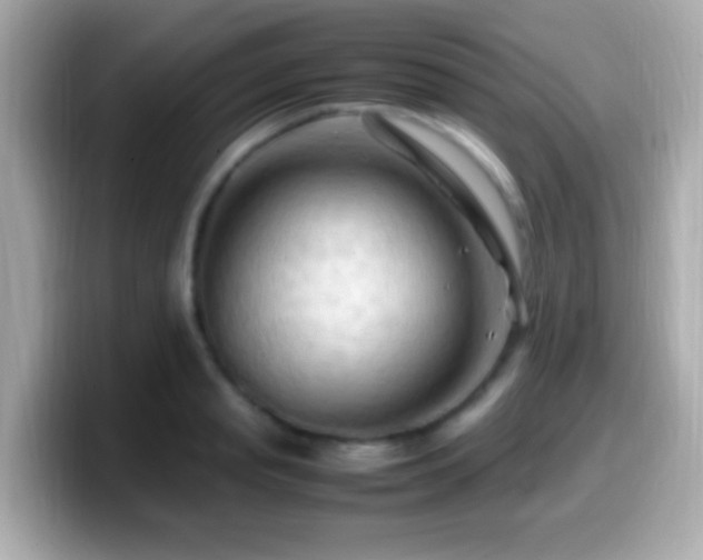 X0000099980845200805231423