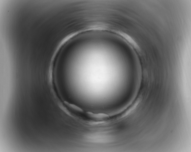 X0000099980846200805231423