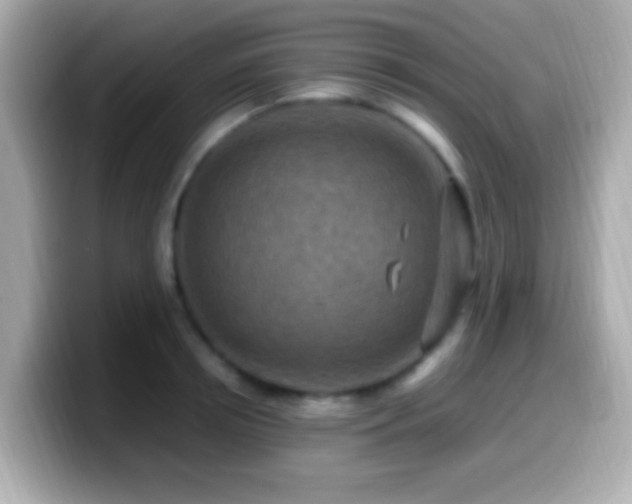 X0000099980850200805231423