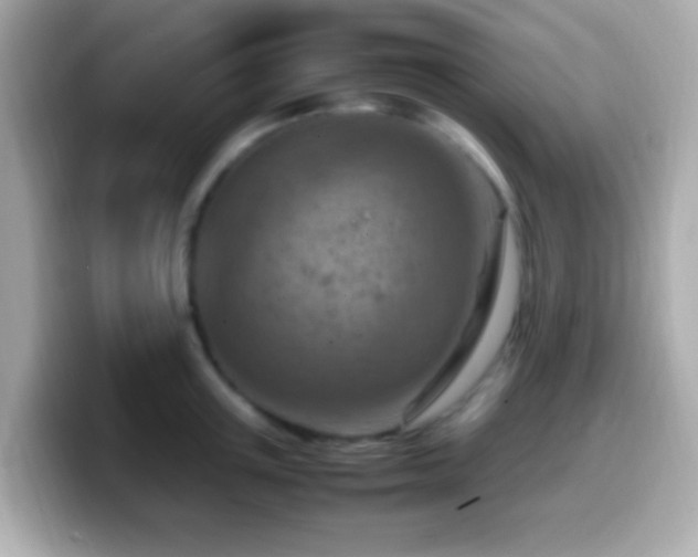 X0000099980851200805231423