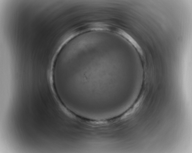 X0000099980853200805231423