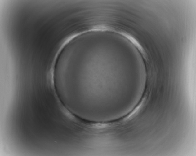 X0000099980854200805231423