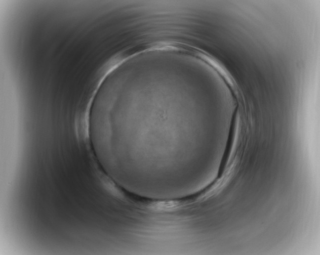 X0000099980858200805231423