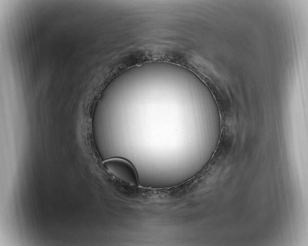 X0000099980865200805231423