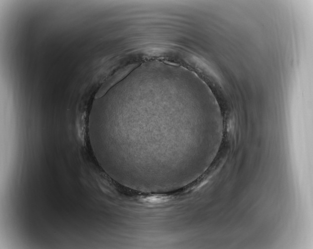 X0000099980868200805231423