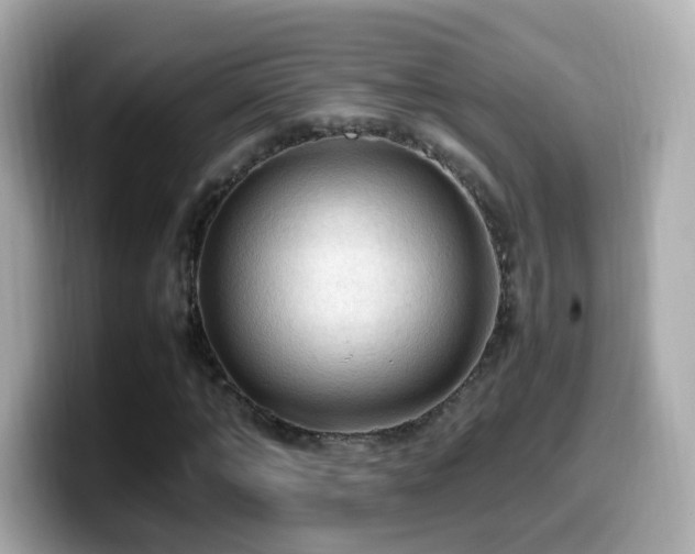 X0000099980870200805231423