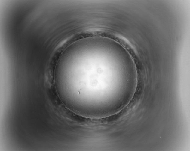 X0000099980871200805231423