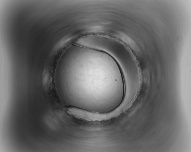 X0000099980872200805231423
