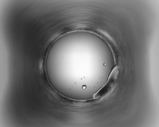 X0000099980873200805231423
