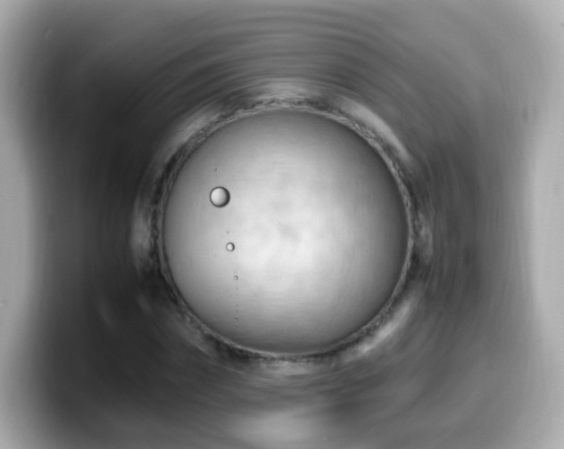 X0000099980874200805231423