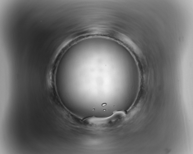 X0000099980875200805231423