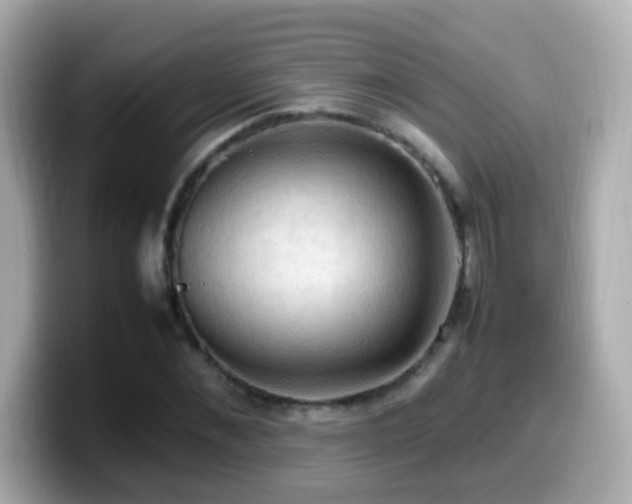X0000099980876200805231422