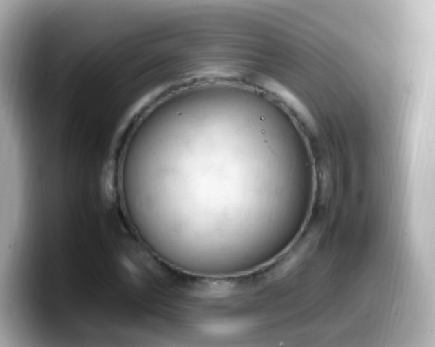 X0000099980878200805231422