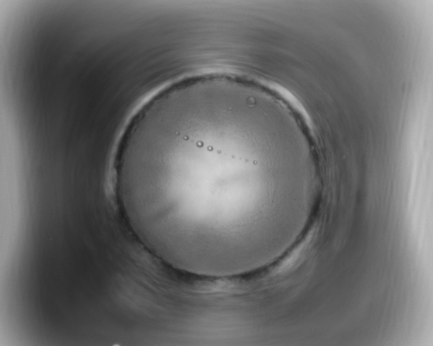 X0000099980879200805231422