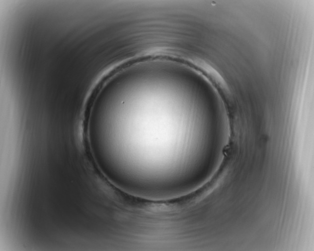 X0000099980880200805231422