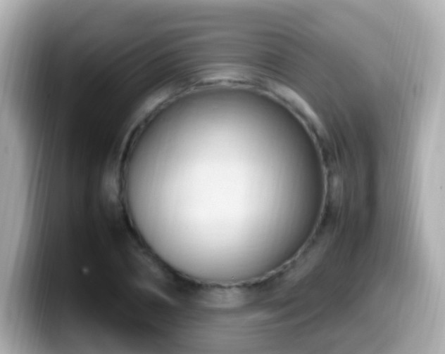 X0000099980882200805231422