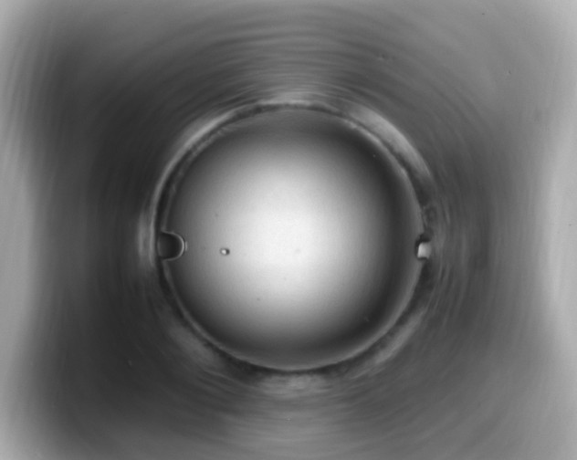X0000099980884200805231422