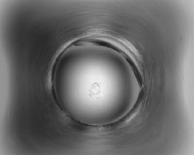 X0000099980885200805231422