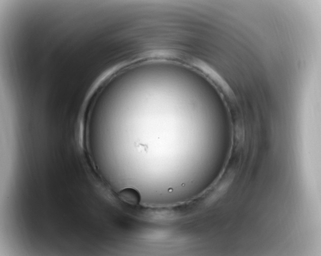 X0000099980886200805231422