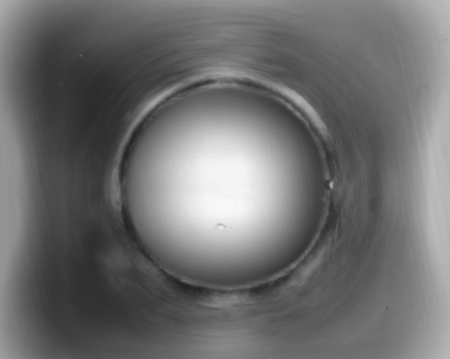 X0000099980887200805231422