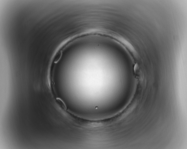 X0000099980888200805231422