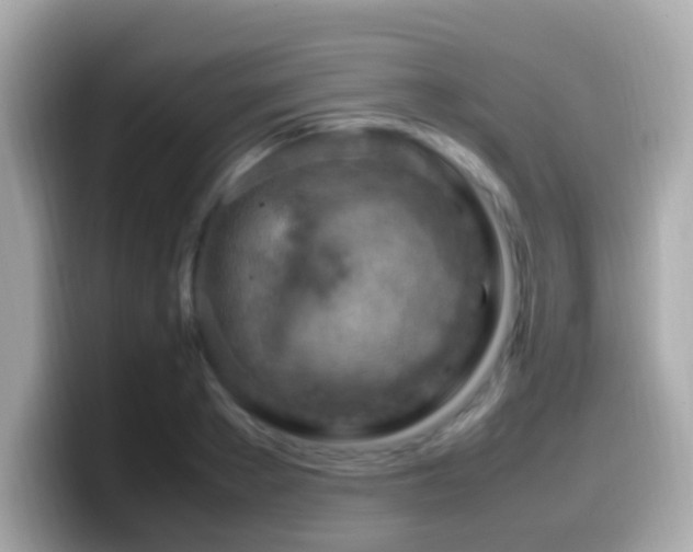 X0000099980889200805231422