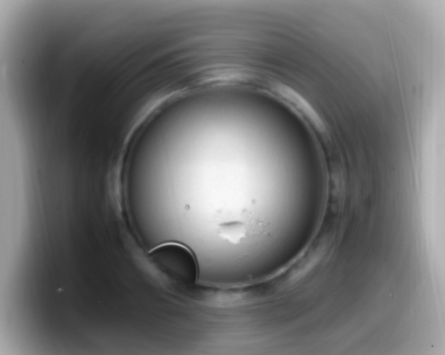 X0000099980890200805231422