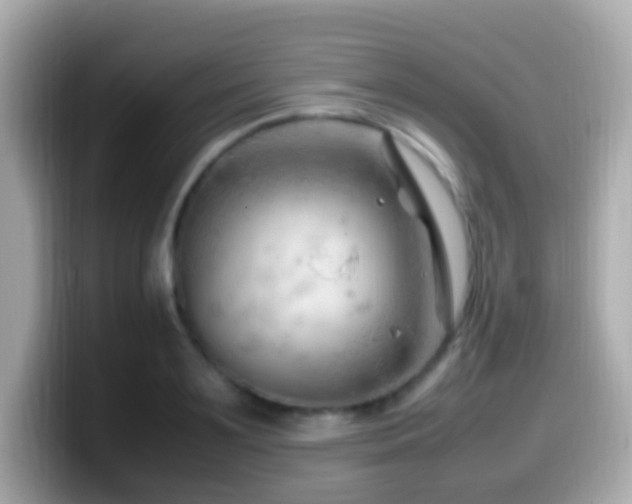 X0000099980891200805231422